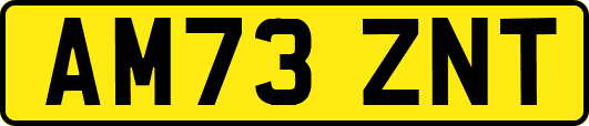 AM73ZNT