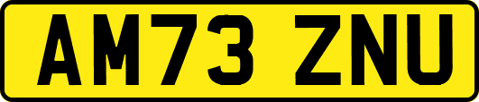 AM73ZNU