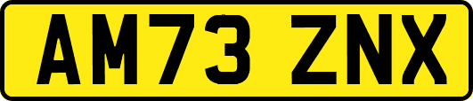 AM73ZNX