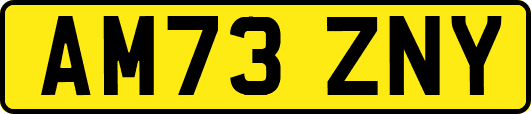 AM73ZNY