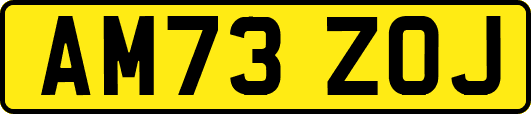 AM73ZOJ