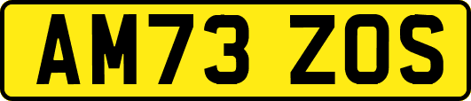 AM73ZOS