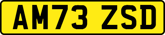 AM73ZSD