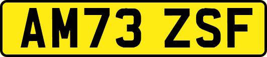 AM73ZSF