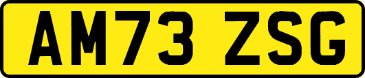 AM73ZSG
