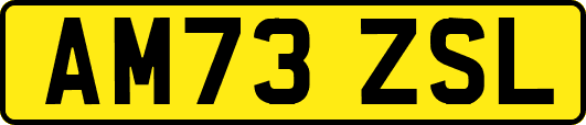AM73ZSL
