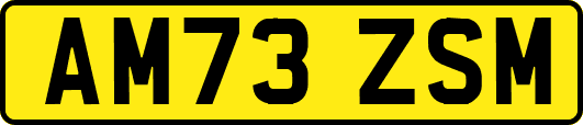 AM73ZSM