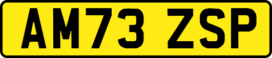 AM73ZSP