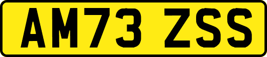 AM73ZSS