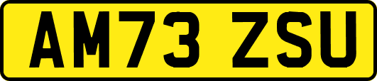 AM73ZSU
