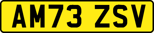 AM73ZSV