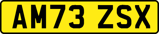 AM73ZSX