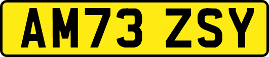 AM73ZSY