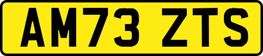 AM73ZTS