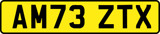 AM73ZTX