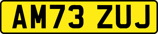 AM73ZUJ