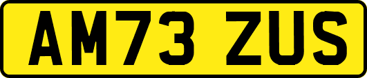 AM73ZUS