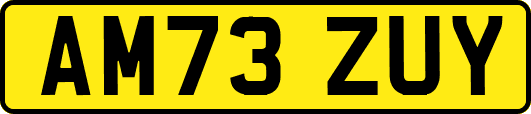 AM73ZUY