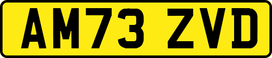 AM73ZVD
