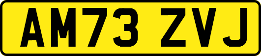 AM73ZVJ