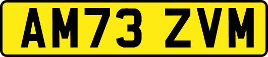 AM73ZVM