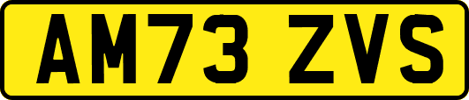 AM73ZVS