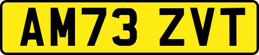 AM73ZVT