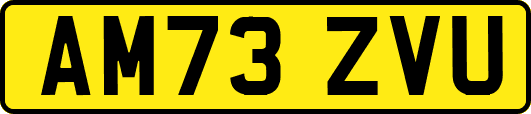 AM73ZVU