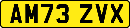 AM73ZVX