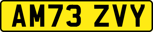 AM73ZVY