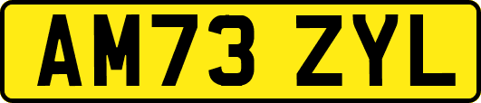 AM73ZYL