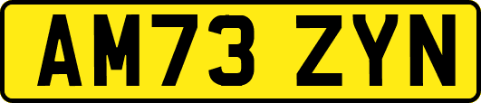 AM73ZYN