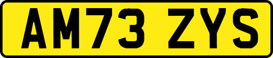 AM73ZYS