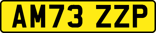 AM73ZZP