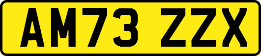 AM73ZZX