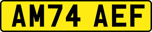 AM74AEF