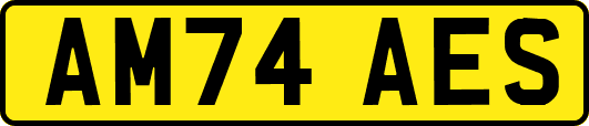 AM74AES