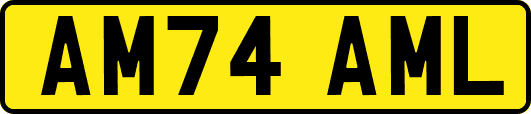 AM74AML
