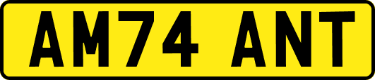 AM74ANT