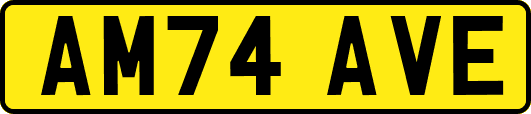 AM74AVE