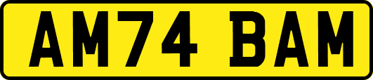 AM74BAM