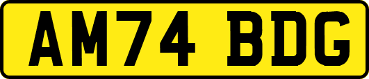 AM74BDG