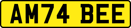 AM74BEE