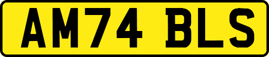 AM74BLS