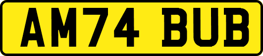 AM74BUB