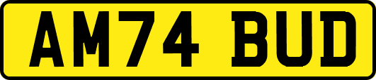 AM74BUD