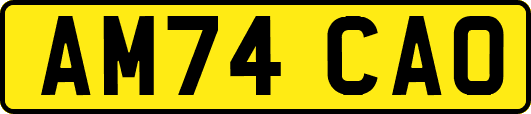 AM74CAO