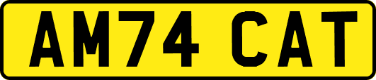 AM74CAT