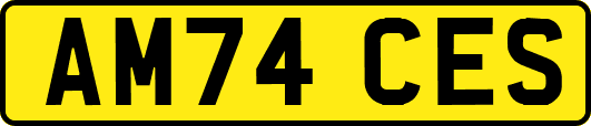 AM74CES