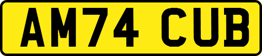 AM74CUB